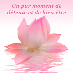 Crème anti-âge Cocooning - Alchimy - effet cocooning
