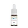 fleur de Bach Beech (Hêtre) bio 15ml