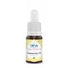 fleur de Bach Rescue (Situations de crise) bio 15ml
