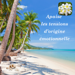 Crème de massage Séréni'T - Alchimy - tensions émotionnelles
