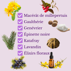 crème Articul'R - Alchimy - ingrédients